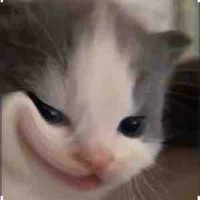 Allbot