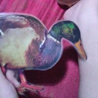 Hệ thống 314 - Duck