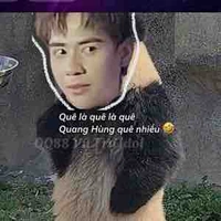 Bố chíp