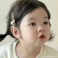 t/g heo lỳ