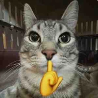 T/giả