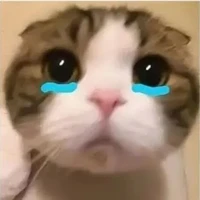 con tg này tên bông