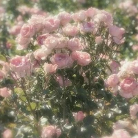 T/G [mị chính là mị]