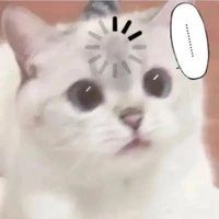 T/g
