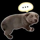 con t/g lười viết truyện