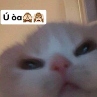 :))))