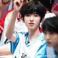 Tả kì hàm - nhím