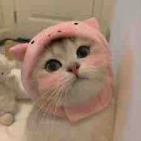 _Yummie13(đặt đại chứ ko bt j hết)_