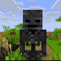 Ma Xương Đen ( Wither Skeleton )