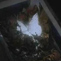 Hệ thống 005 -sainy-