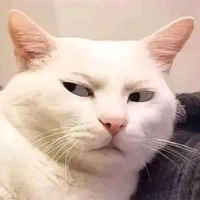 t/g chạy thận sớm 😨