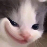nhỏ bel🐧