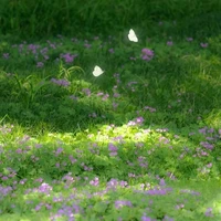 những người xung quanh ở đó