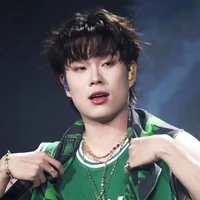 Trần Đăng Dương -Dương Domic-