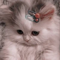 t/g(Chanh)🌹😼