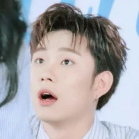 Dương Domic