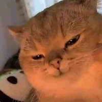 Tác giả ngoan hiền