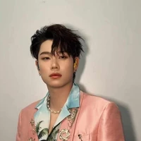 Dương Domic