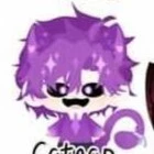 HiHa Catnap