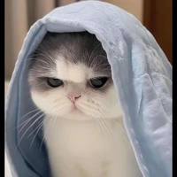 Min_Nhỏ tg đay