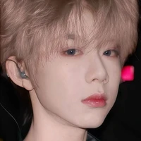 Trần Dịch Hằng