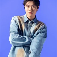 đăng dương (domics)