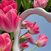 Con t/g bị lag ( A.thu )