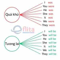 Tác giả 