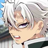 Shinazugawa Sanemi 