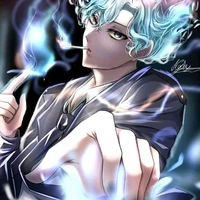 hiha des