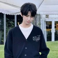 Lâm Tử Diệp(Hệ thống bảo vệ A Lâm)