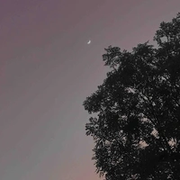 Meiis pồng pềnh (Tác giả)