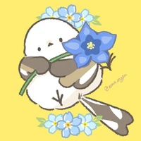 Hệ thống 265/Chibi