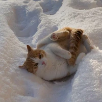 mọi người ở đó(trừ ai thì trừ)