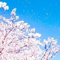 hiệu trưởng