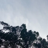 cả 3 nhân cách