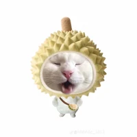 t/g trái sầu cu teo=))