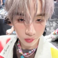 Hongshihoshi