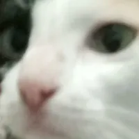 tác giả ngầu nhất xóm