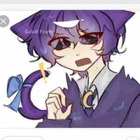 Hiha catnap