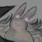 Thỏ 