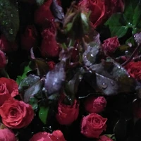 nhân vật bí ẩn