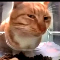 Tác Giả cutelele=)))