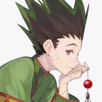 Gon Freecss 