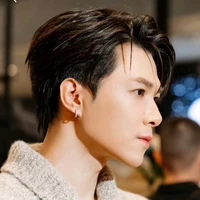 Bùi Anh Tú