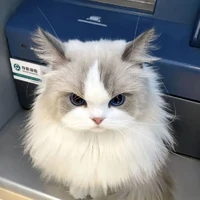 vani