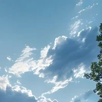 All công ( trường Kimetsu )