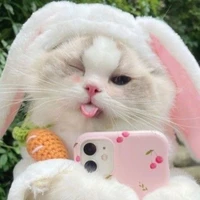 Meow