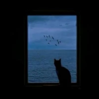 Công Chúa Bong Bóng💢