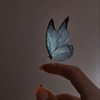 _người chỉ dẫn_